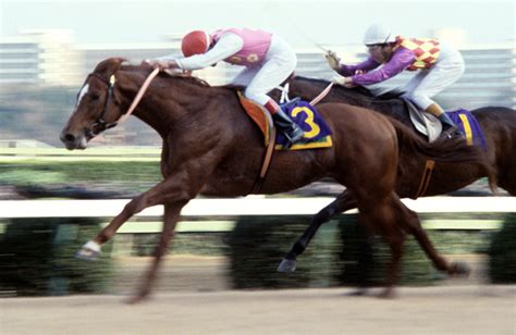 1978馬|1978年の日本競馬